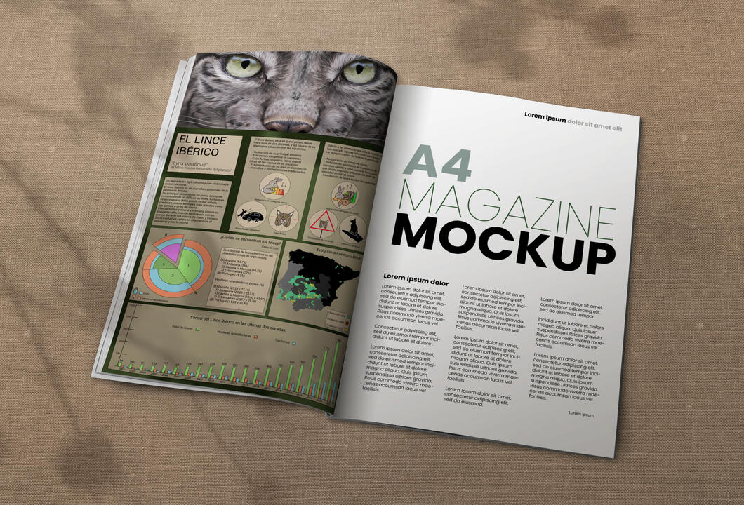 Infographic_mockup