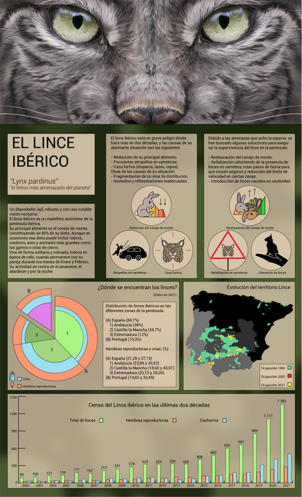 Infographic