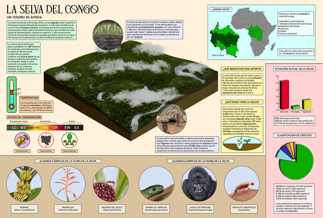 Geoecology: Congo rainforest