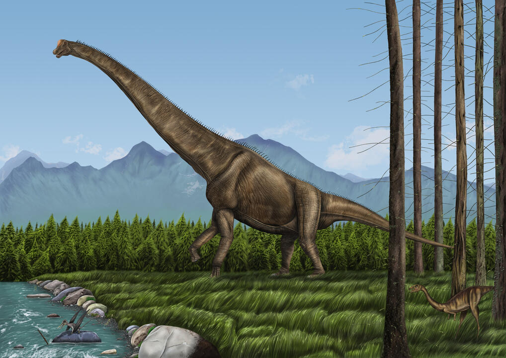 Paleontology: "Giraffatitan brancai"